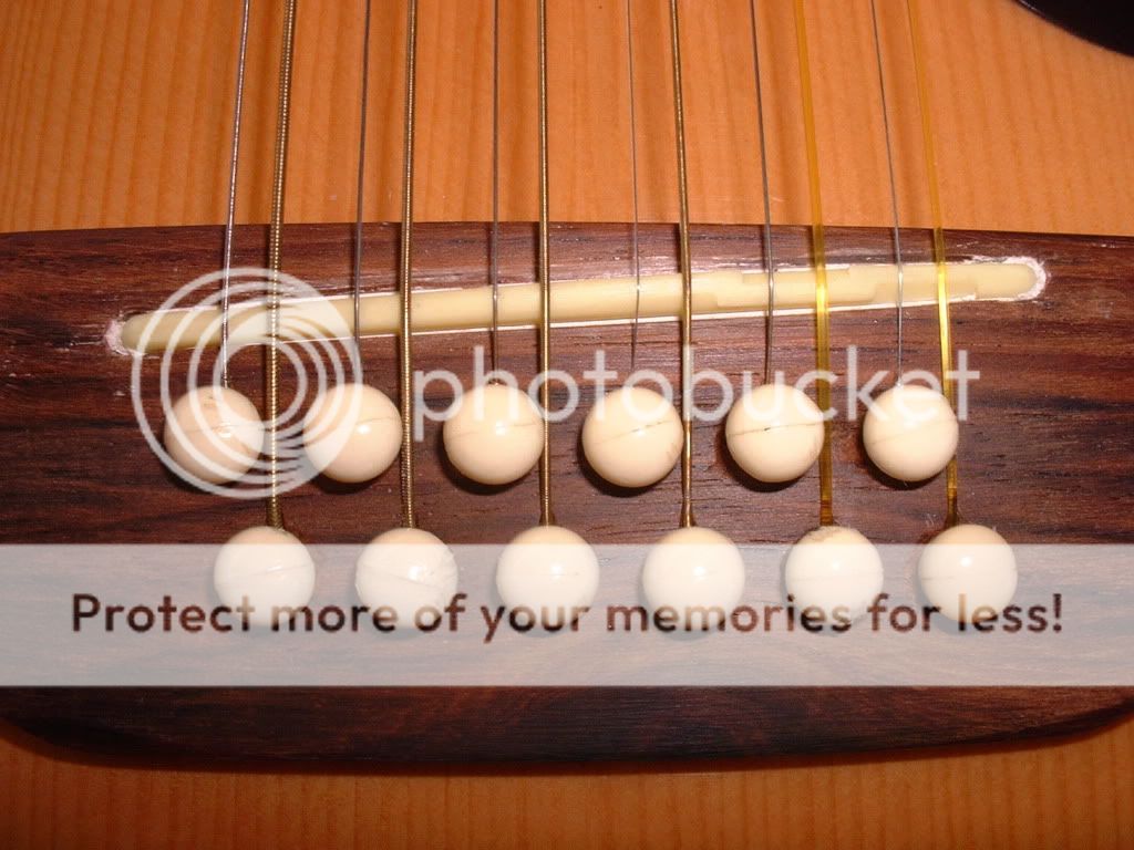 12string, all nylon ok? The Acoustic Guitar Forum